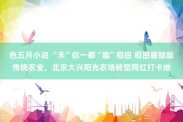 色五月小说 “禾”你一都“趣”稻田 稻田画赋能传统农业，北京大兴阳光农场转型网红打卡地