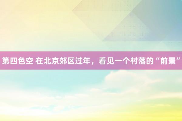 第四色空 在北京郊区过年，看见一个村落的“前景”