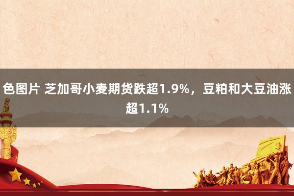 色图片 芝加哥小麦期货跌超1.9%，豆粕和大豆油涨超1.1%