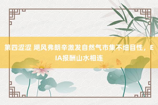 第四涩涩 飓风弗朗辛激发自然气市集不细目性，EIA报酬山水相连