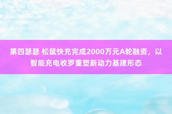 第四瑟瑟 松鼠快充完成2000万元A轮融资，以智能充电收罗重塑新动力基建形态