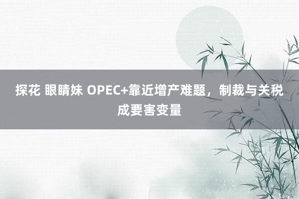 探花 眼睛妹 OPEC+靠近增产难题，制裁与关税成要害变量
