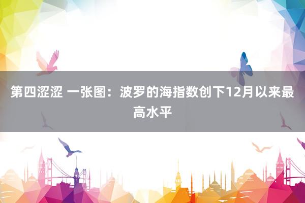 第四涩涩 一张图：波罗的海指数创下12月以来最高水平