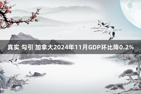 真实 勾引 加拿大2024年11月GDP环比降0.2%
